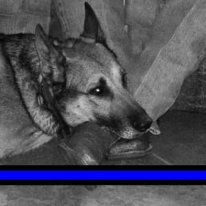 Meet your Posher, Sue